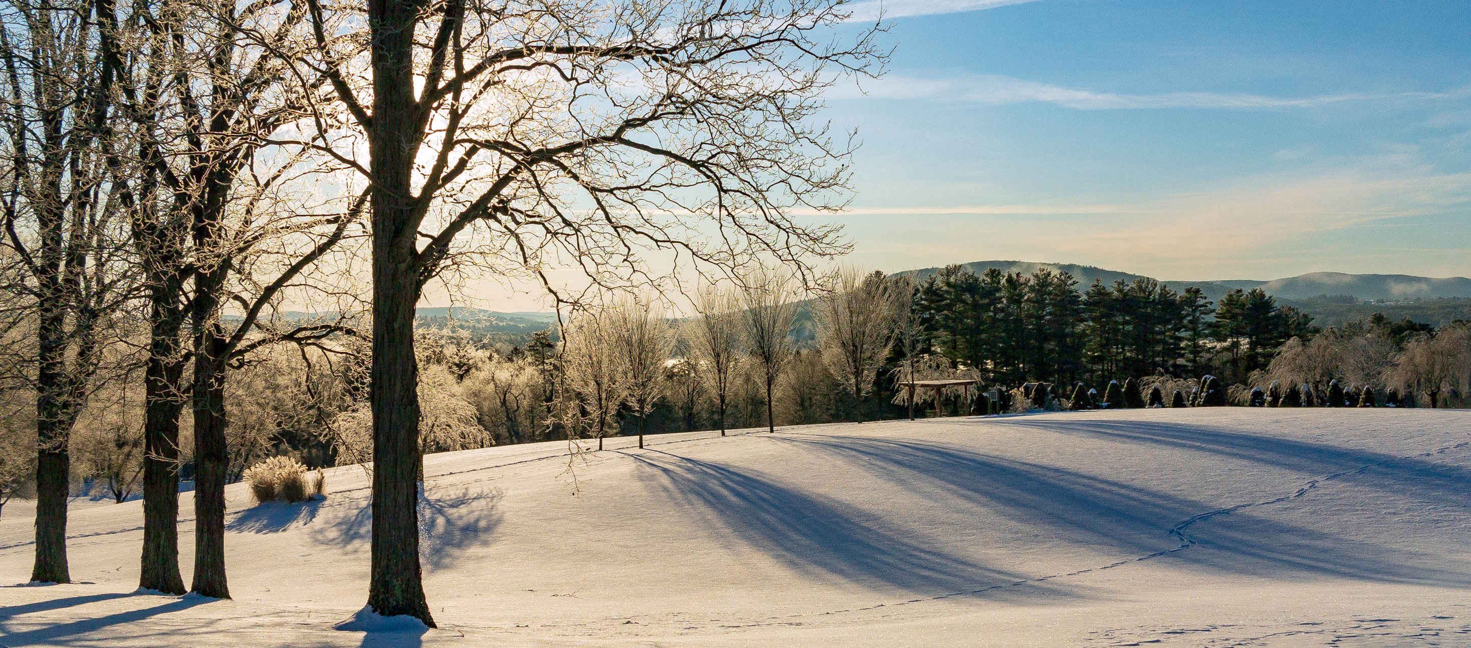 winter lanscape