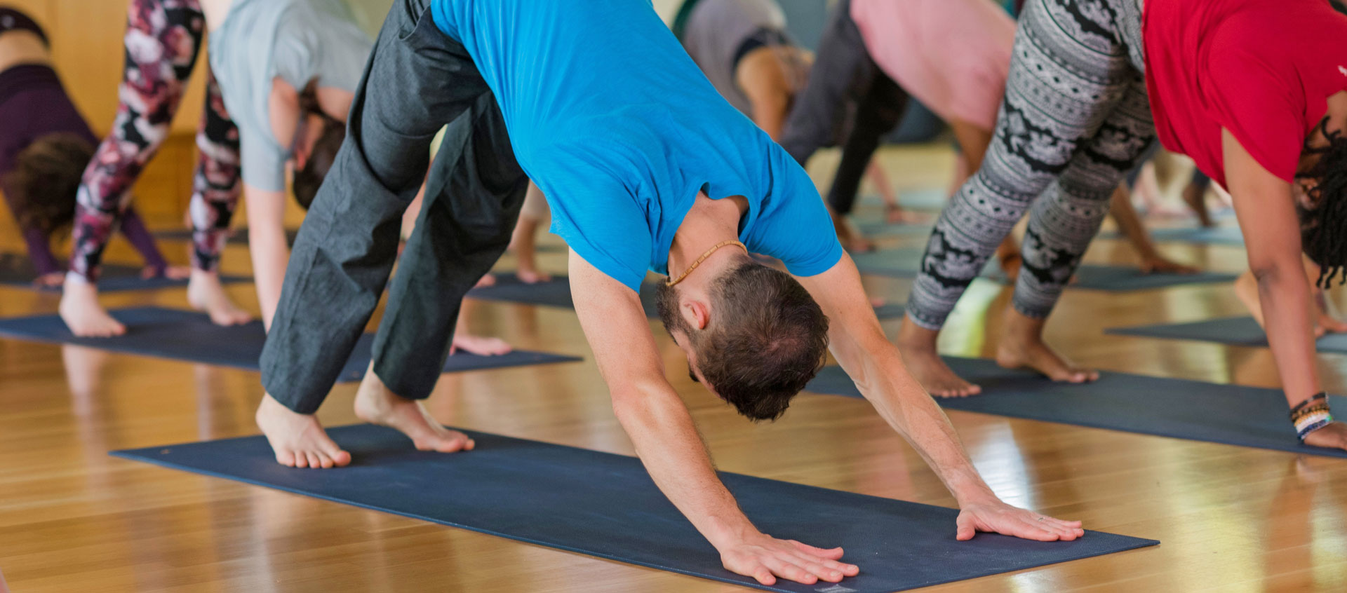 yoga students in downward dog